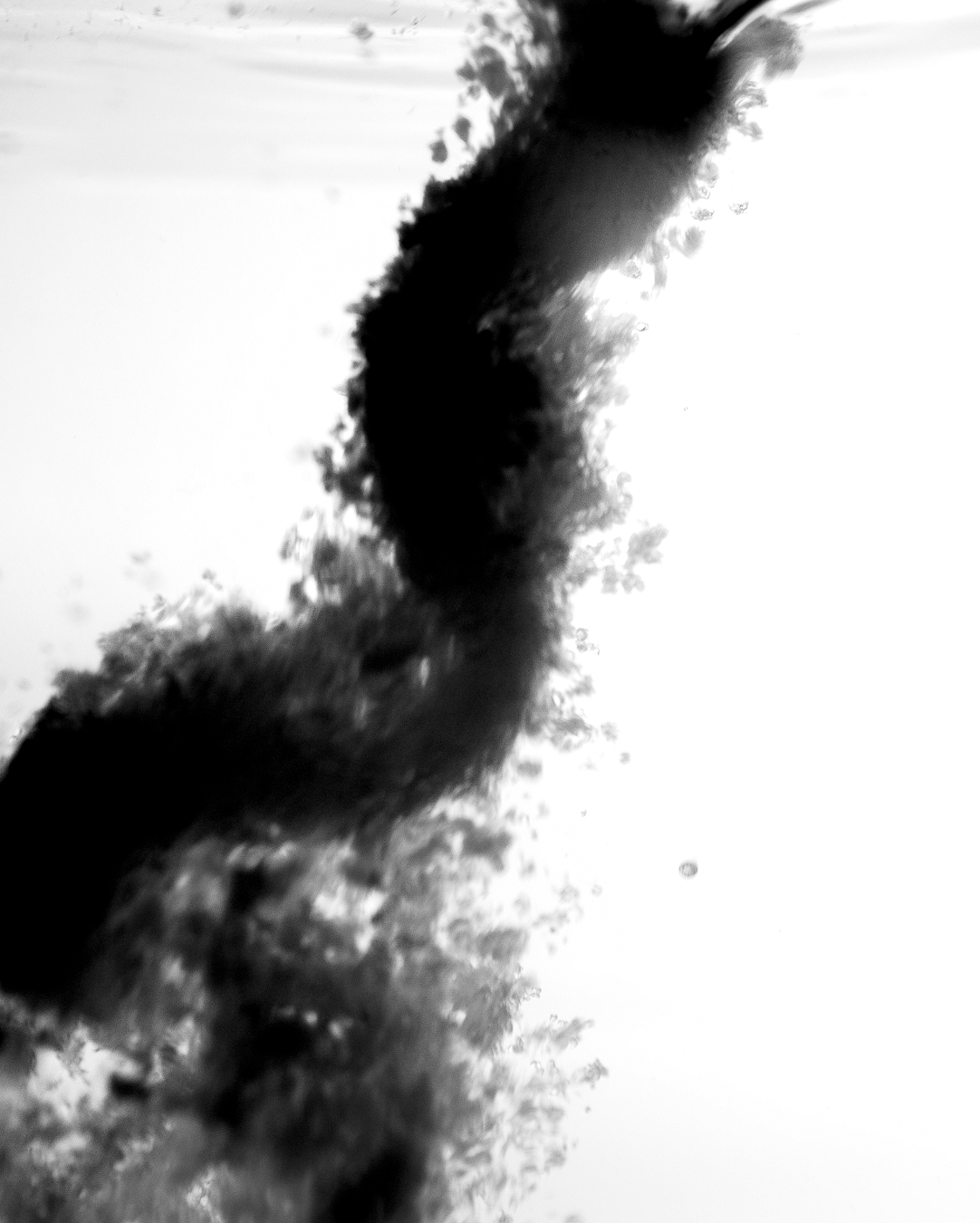 Black drink mix powder swirling in water